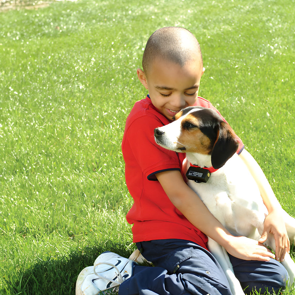 Petsafe Bark Control Collar - Static Anti-Bark Collar for Dogs