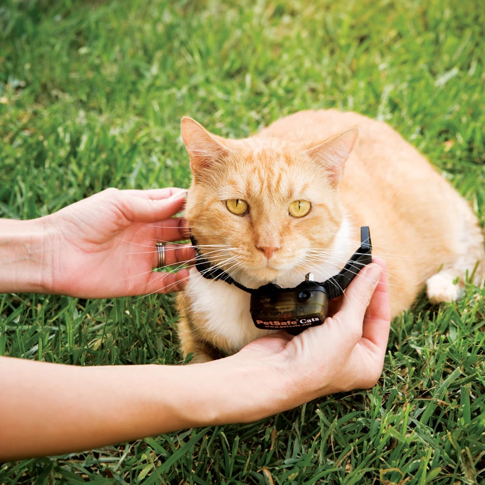 Petsafe Deluxe In-Ground Cat Fence System