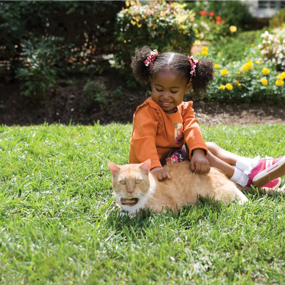 Petsafe Deluxe In-Ground Cat Fence System