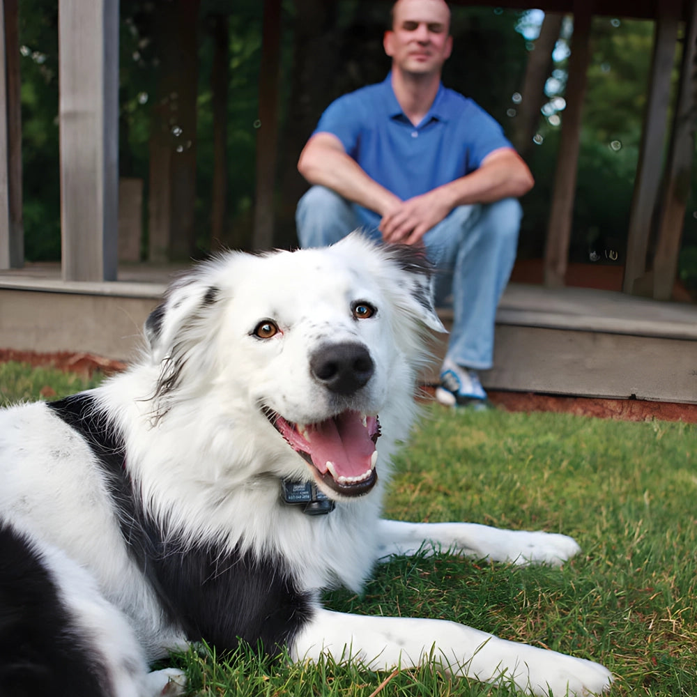 Petsafe Wireless Pet Containment System