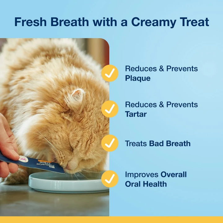 ProDen PlaqueOff Crème for Cats