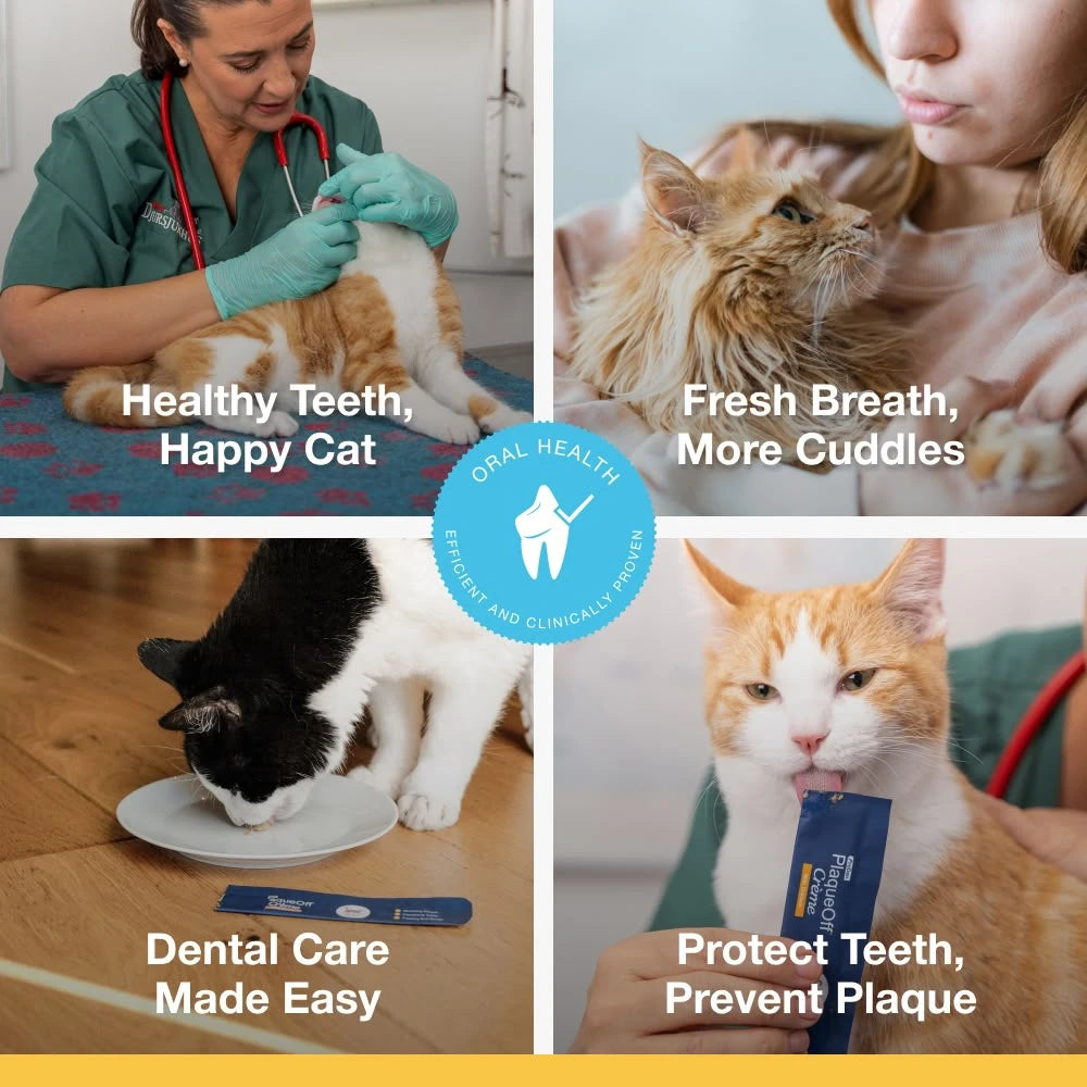 ProDen PlaqueOff Crème for Cats