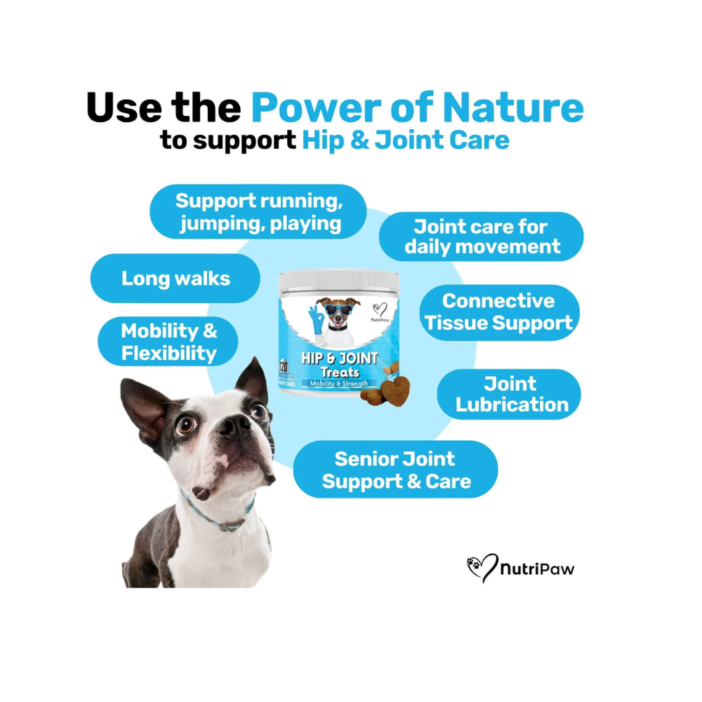 Nutripaw Hip and Joint Treats
