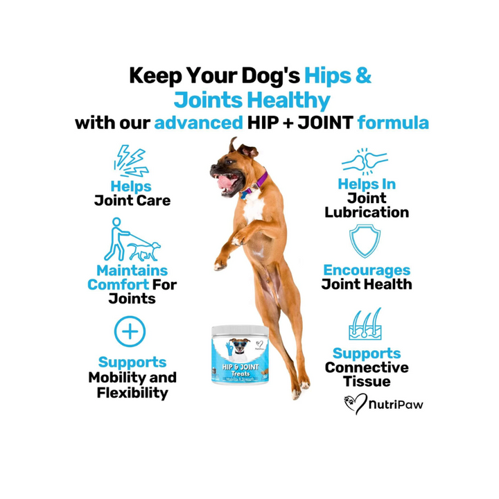 Nutripaw Hip and Joint Treats