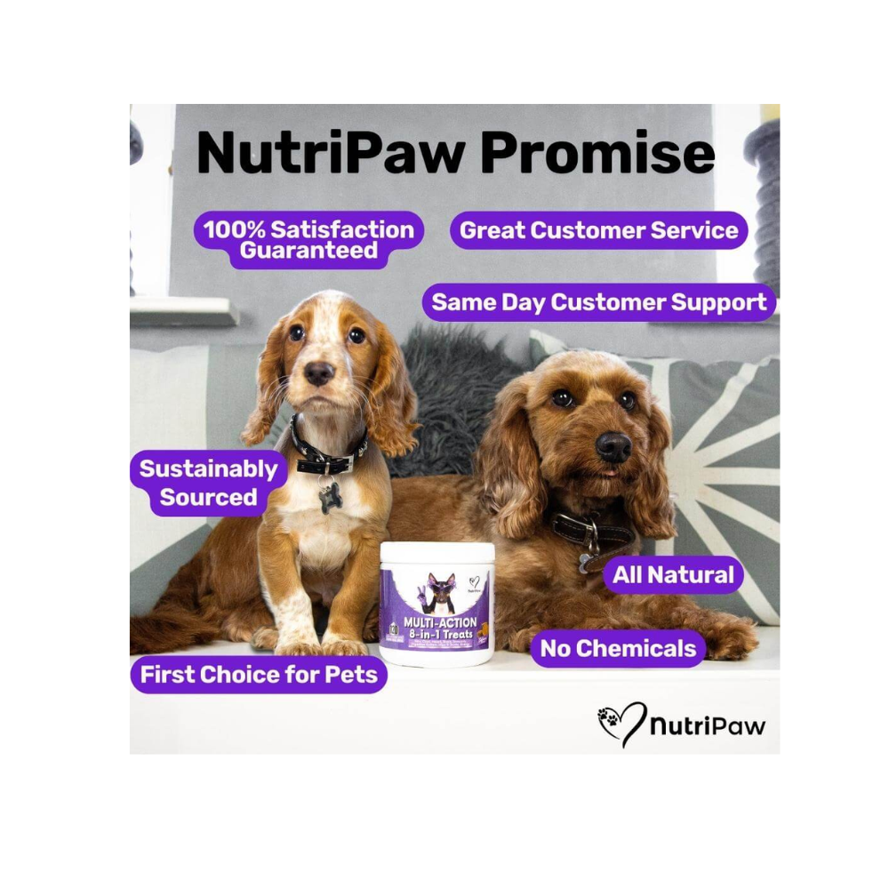 Nutripaw Multi-Action 8 in 1 Treats