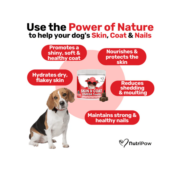 Nutripaw Skin and Coat Omega Treats