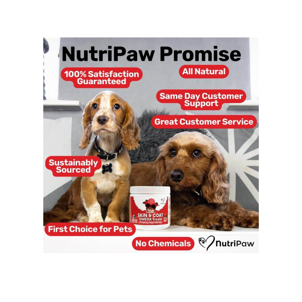 Nutripaw Skin and Coat Omega Treats