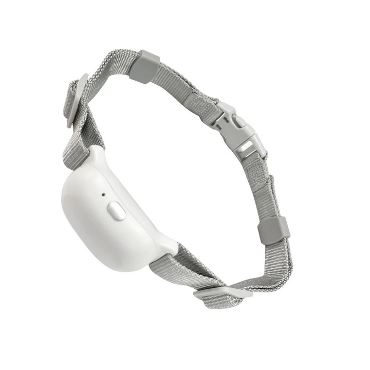 Pawguard Dog Training Collar T200 Rechargeable, Long range