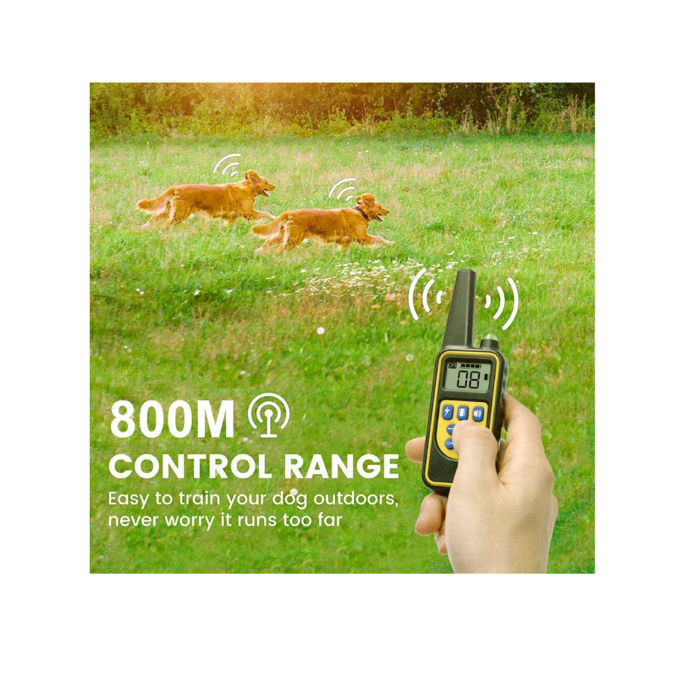 Pawguard Dog Training  Collar T776 Rechargeable, Long range