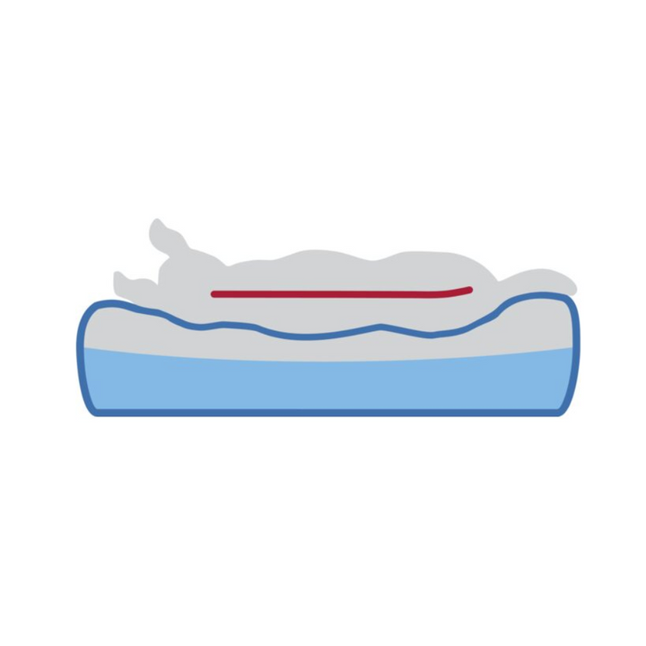 Samoa Vital Orthopaedic Dog Bed 65 x 50cm