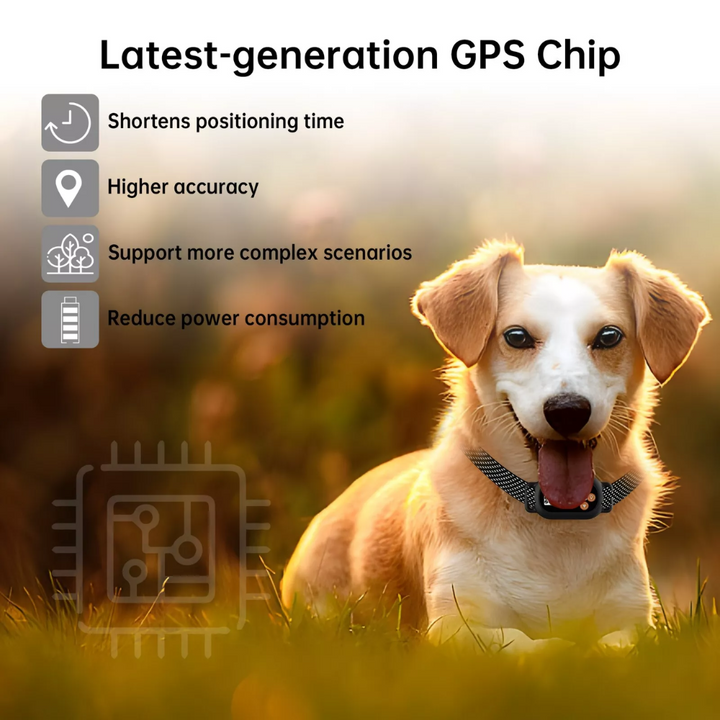 Pawguard 820  GPS–  Dog Fence Ireland | Petworld.ie