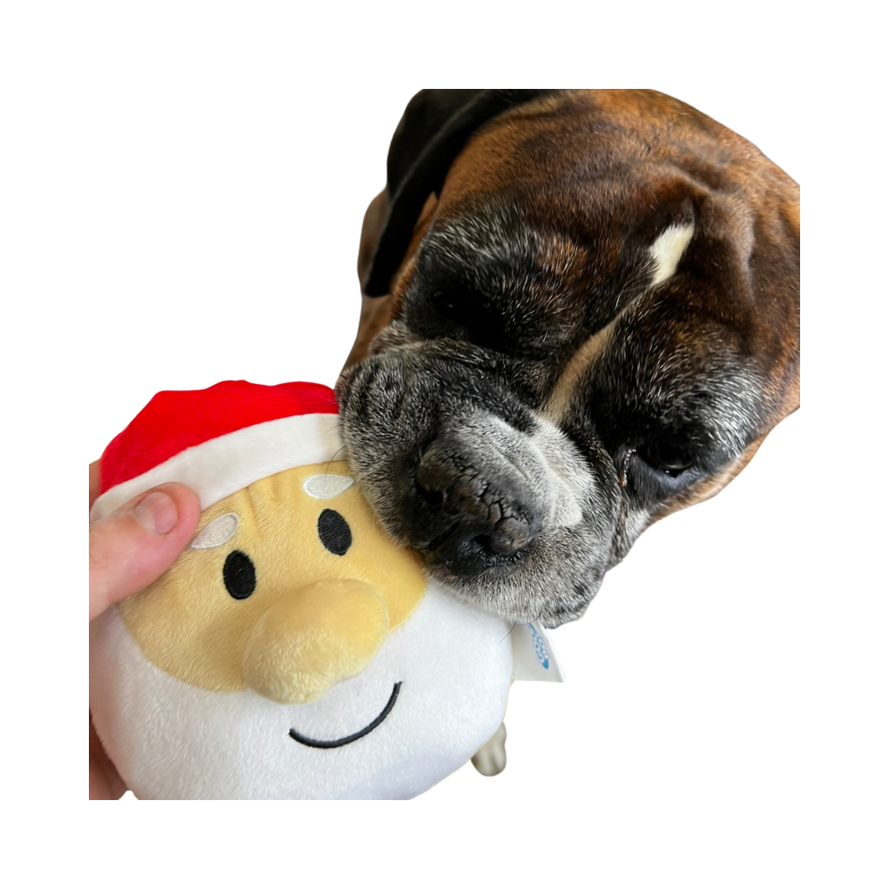 Good Boy Santa Head Soft Plush Dog Toy