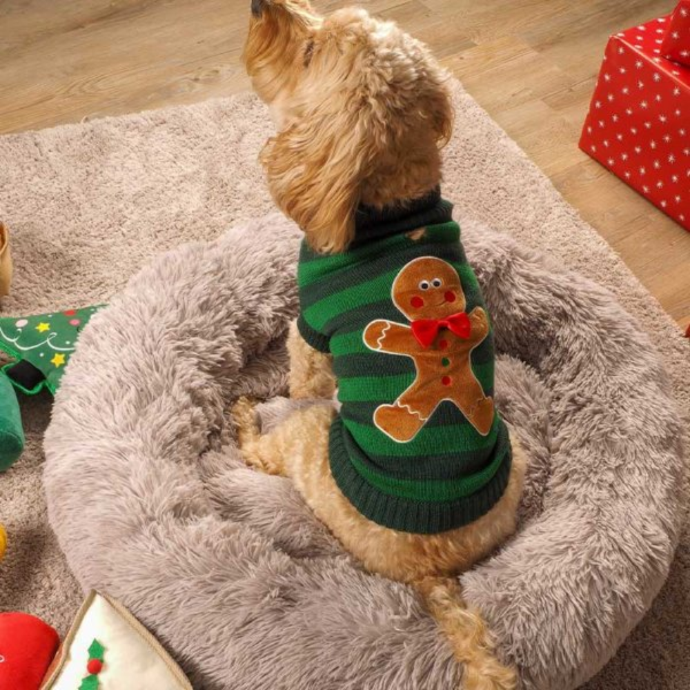 Gingerbread Jumper