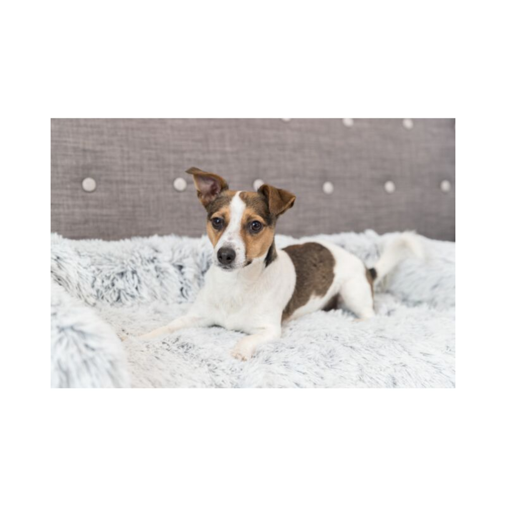 Harvey Pet Furniture Protector Sofa Bed – Soft Edition