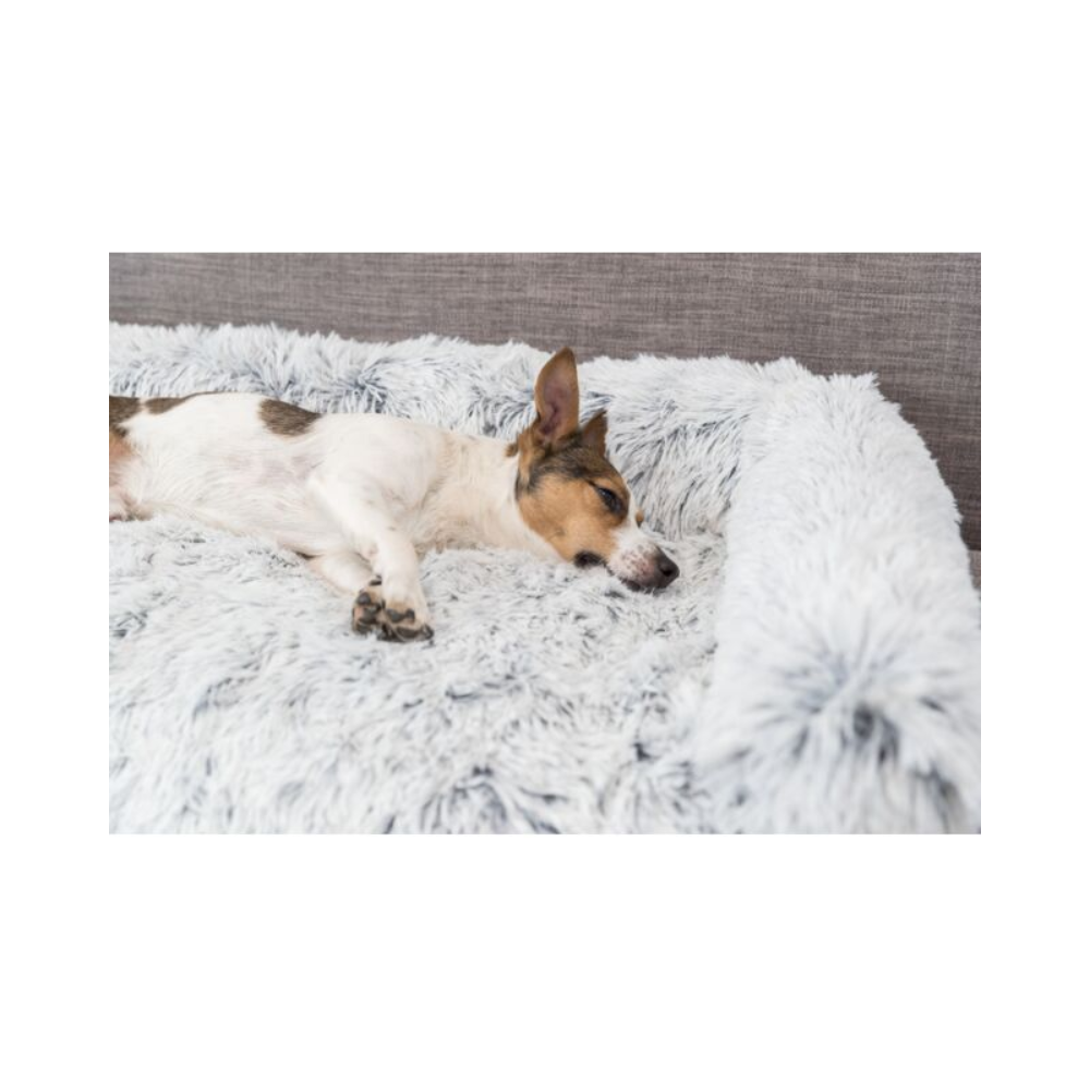 Harvey Pet Furniture Protector Sofa Bed – Soft Edition