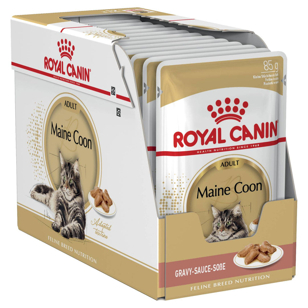 Royal Canin Maine Coon Wet Cat Food 12x85g Pouches