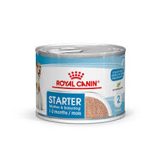 Royal Canin Starter Mousse Dog Food