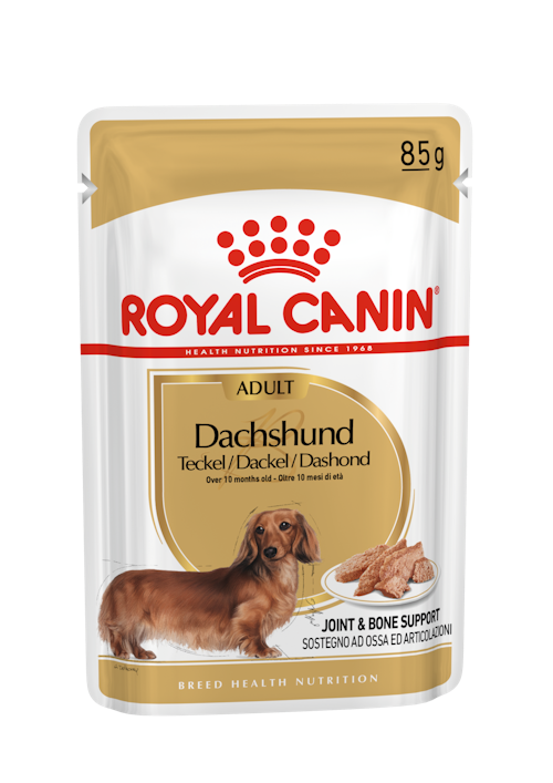 Royal Canin Dachshund Dog Food