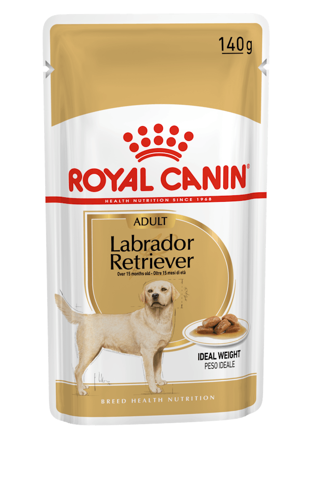 Royal Canin Adult Labrador Retriever