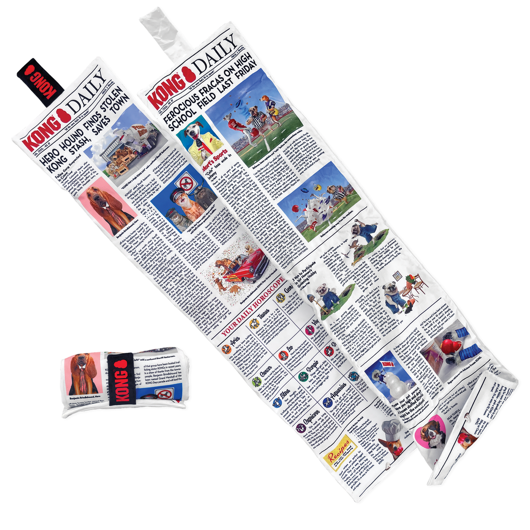 KONG  Daily Newspaper XL