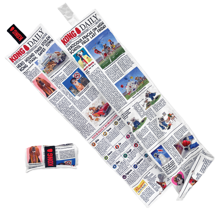 KONG  Daily Newspaper XL