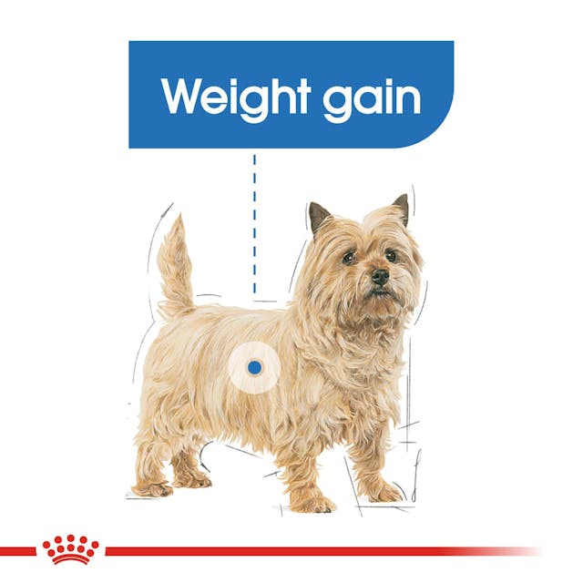 Royal Canin Light Weight Care 85g Pouch