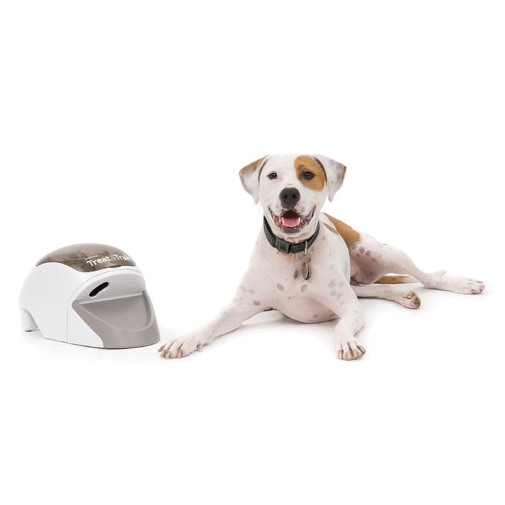Treat & Train Remote Reward Dog Trainer - PetWorld