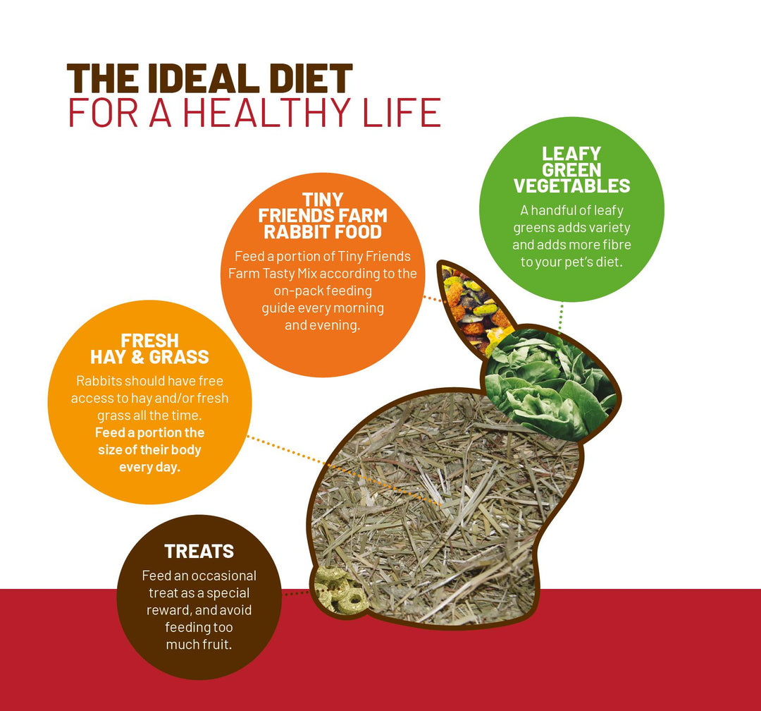 Tiny Friends Farm ideal rabbit diet graphic: fresh hay and grass, measured Tasty Mix portion, leafy greens and occasional treats