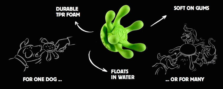 Kiwi Walker Lets Play Octopus Latex Dog Toy - PetWorld