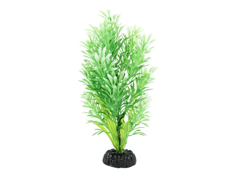 Snow Tip Green Fir Plastic Plant 8