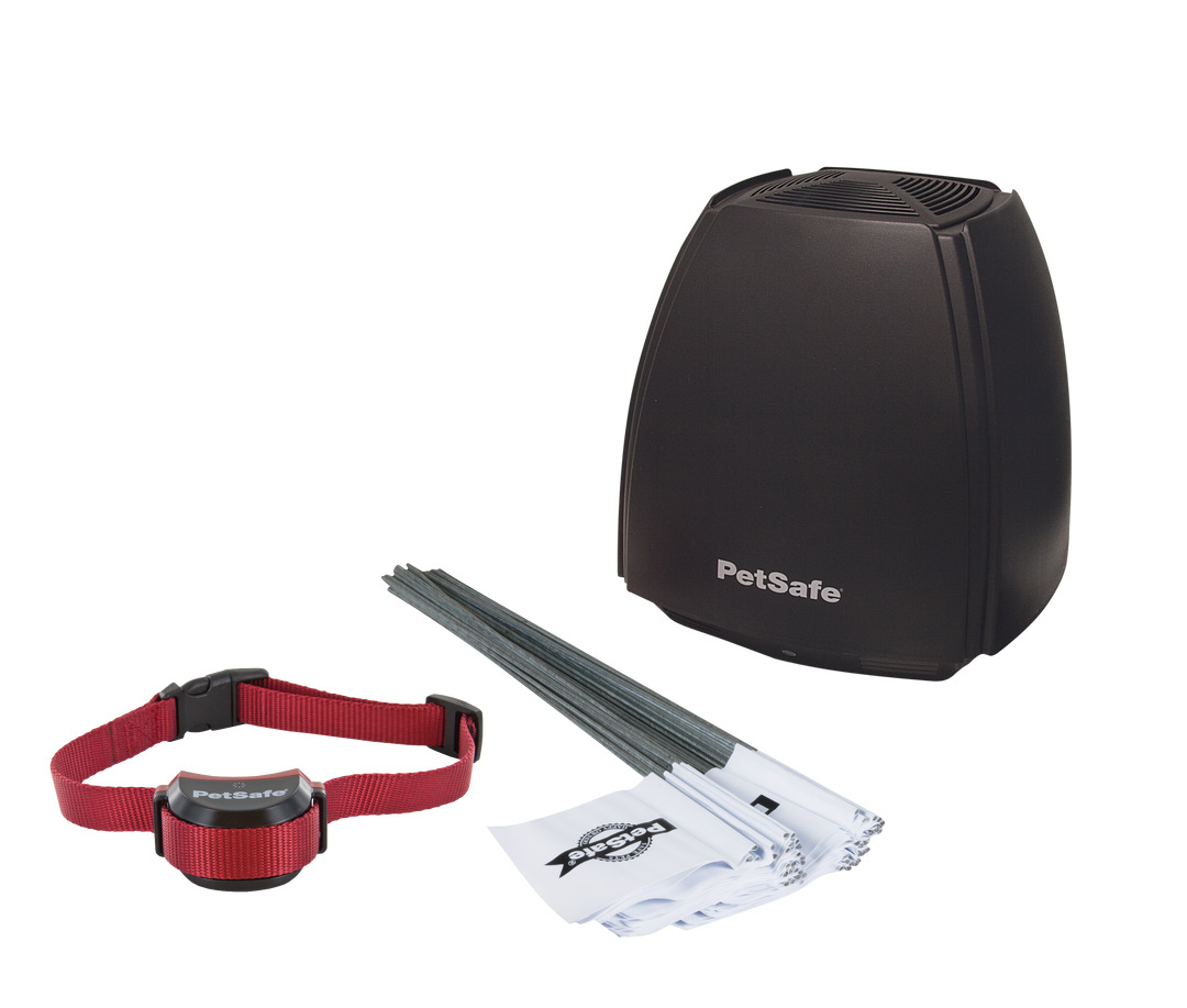 PetSafe Stay and Play Wireless Fence for Stubborn Dogs components: transmitter, red receiver collar and training flags