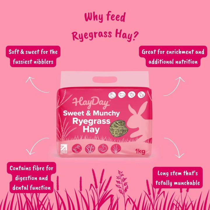 Sweet & Munchy Ryegrass Hay 1kg