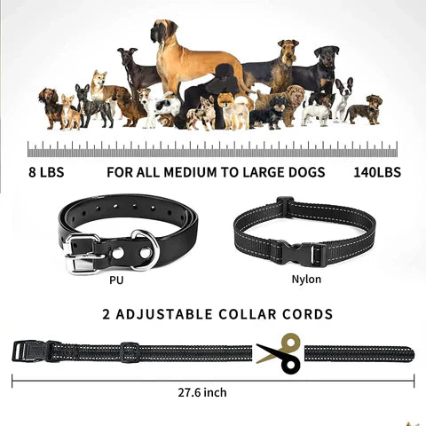 PawGuard T689 collar and remote