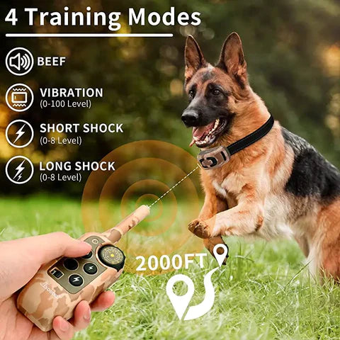 PawGuard T689 dog training collar in use