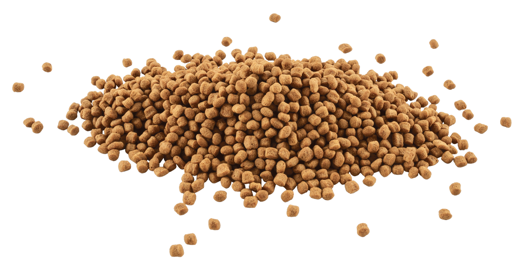 Tetra Goldfish Sticks floating food sticks close up