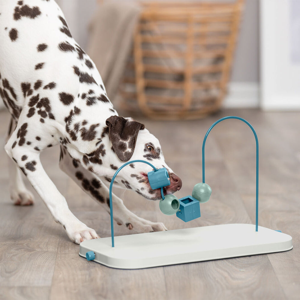 Dog Activity Skills Loop 43cm