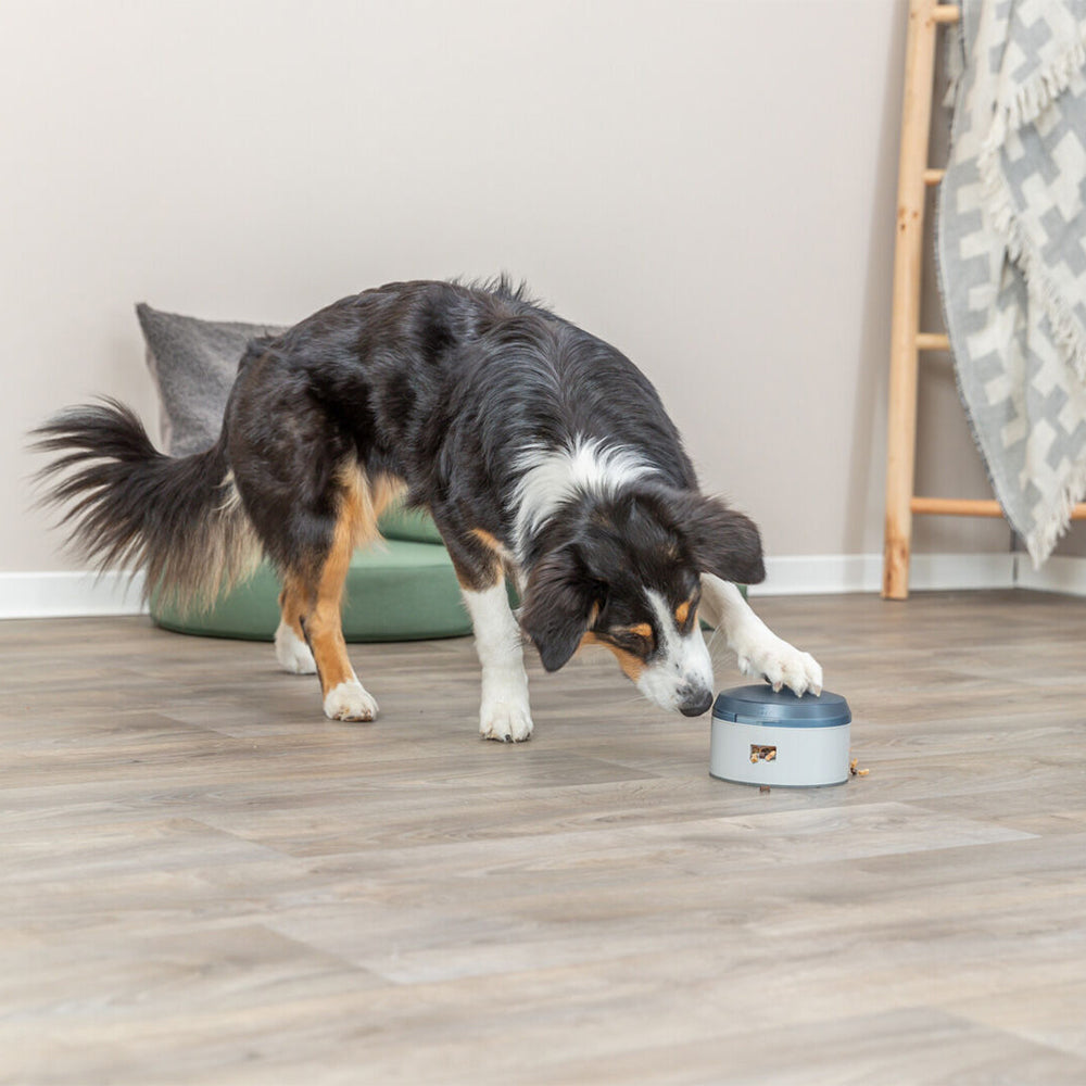 Dog Activity Buzzer Plastic 14 x 9.5cm