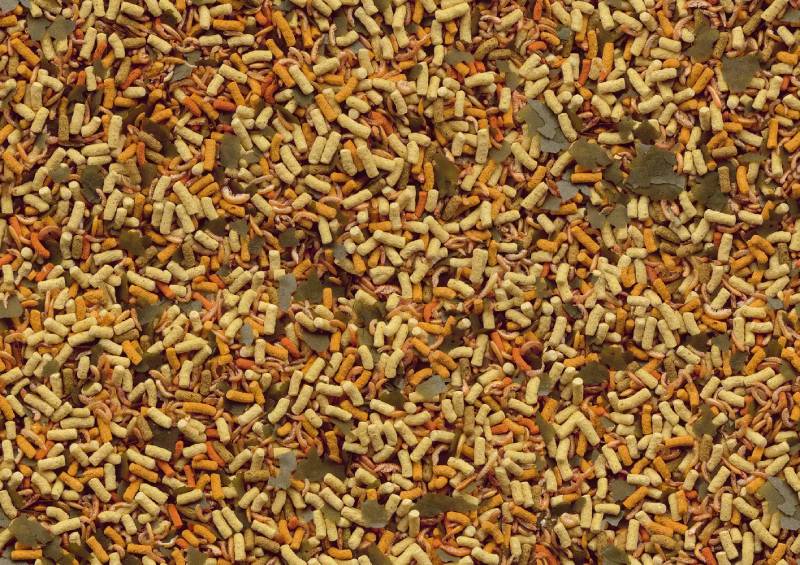 Tetra Pond Goldfish Mix 4L - PetWorld