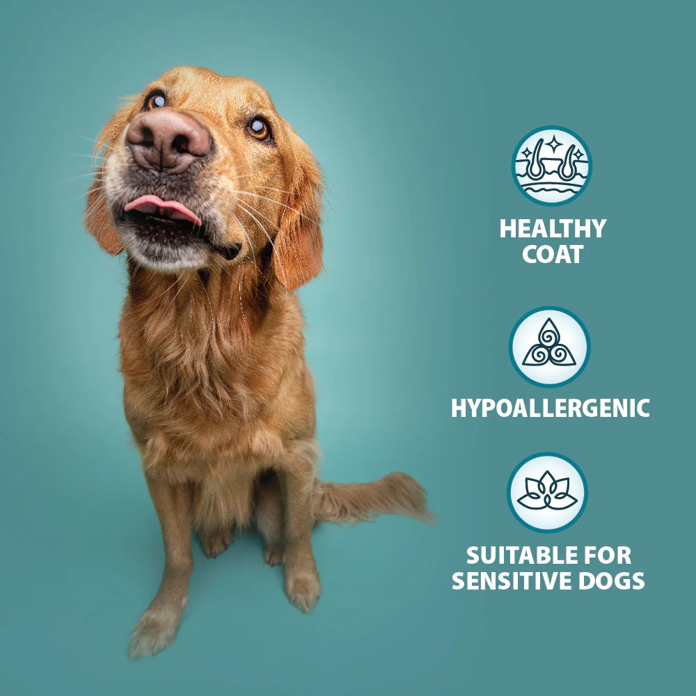 Burns Variety Multi Box Wet Food