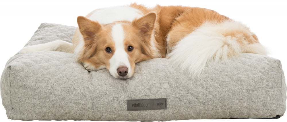 Noah Vital Orthopaedic Cushion - PetWorld