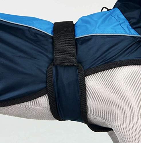 Trixie Intense Raincoat, Blue -various sizes - PetWorld