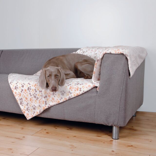 Lingo Plush Dog Blanket – Pawprint & Bones Design