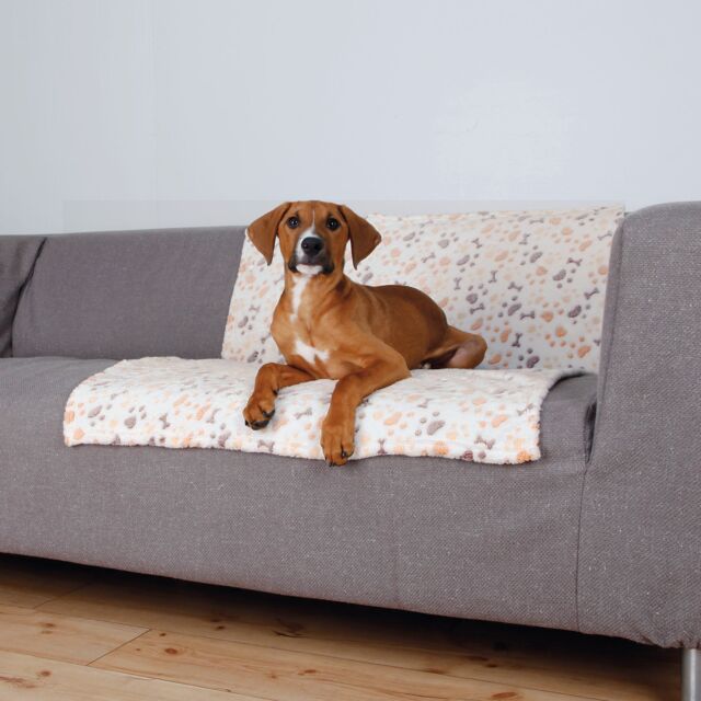 Lingo Plush Dog Blanket – Pawprint & Bones Design