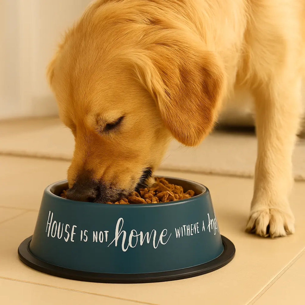 Trixie Stainless Steel Rubber Bowl 15cm