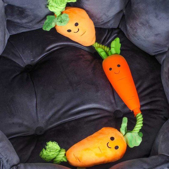 Tugga Carrots Dog Toy - PetWorld