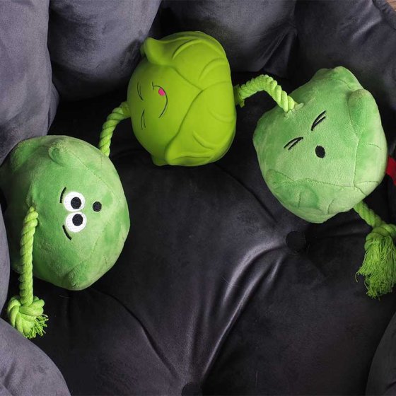Tugga Sprouts Dog Toy - PetWorld
