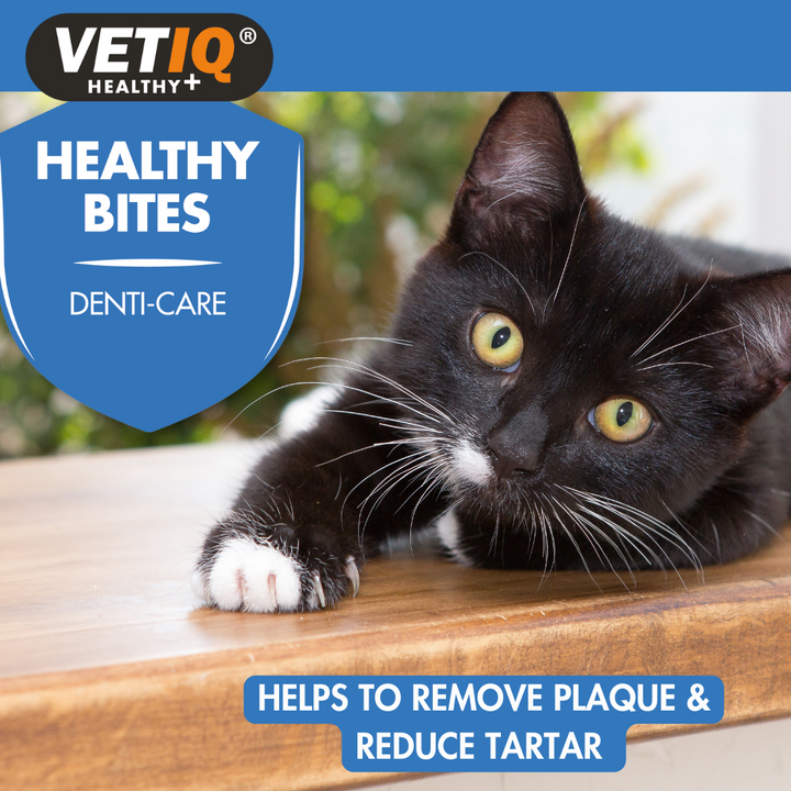 Black and white cat: VetIQ Healthy Bites Denti-Care helps remove plaque and reduce tartar