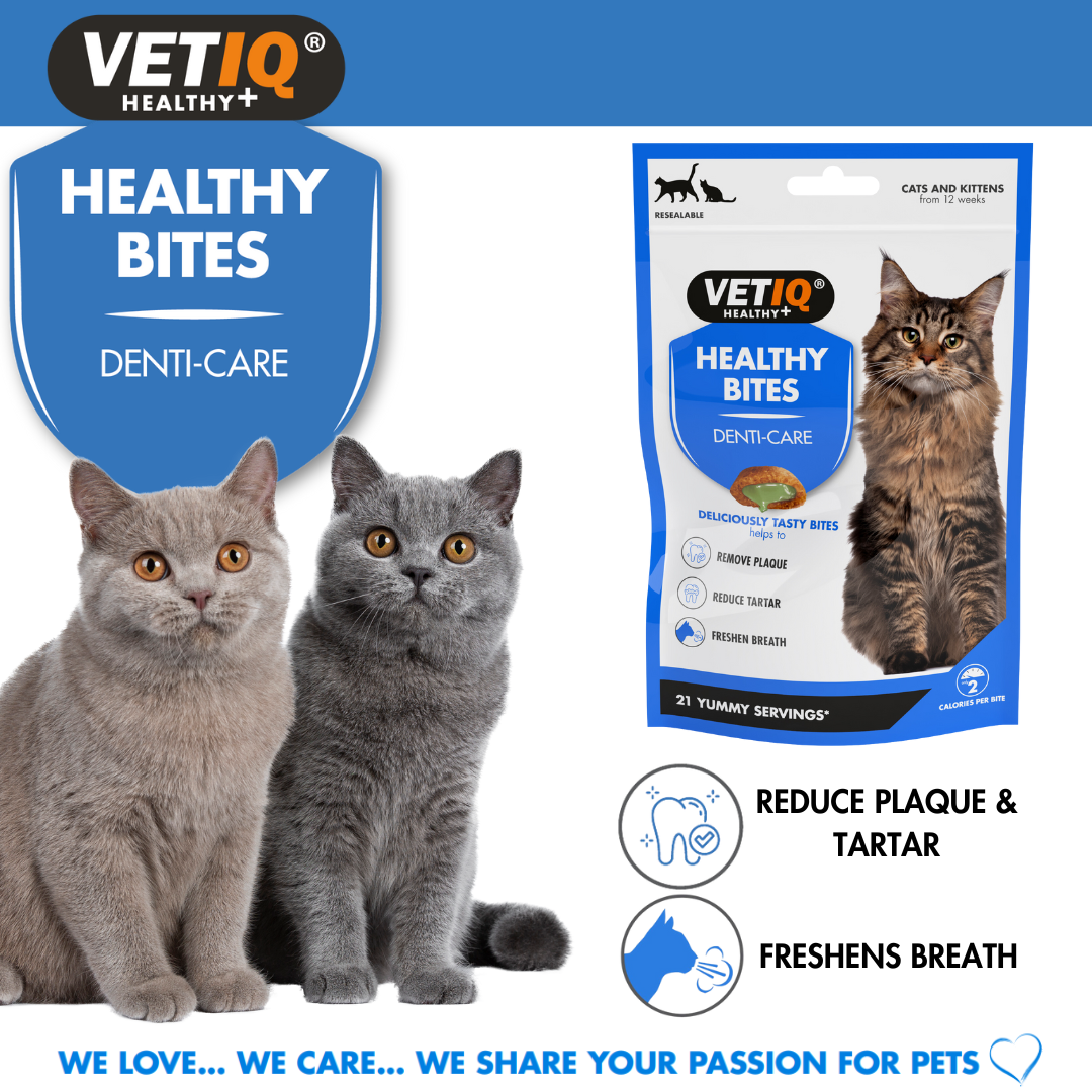 VetIQ Healthy Bites Denti-Care pack with two cats: reduces plaque and tartar, freshens breath