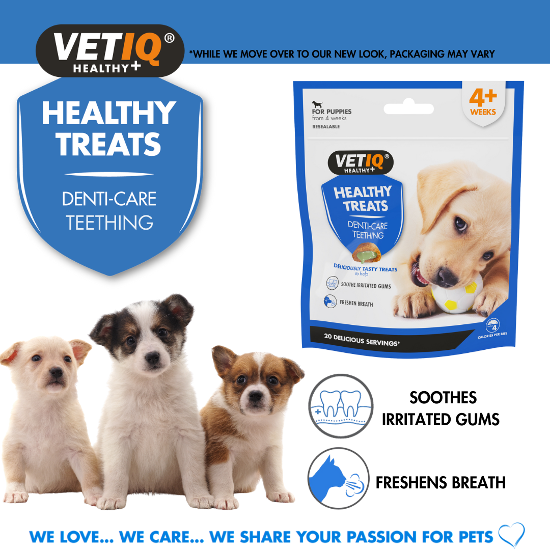 VETIQ Healthy Treats Denti-Care Teething soothes irritated gums and freshens breath