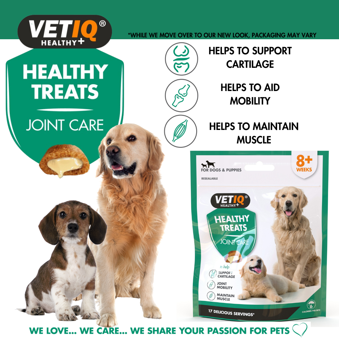 VETIQ Healthy Treats Joint Care for dogs: helps support cartilage, aid mobility and maintain muscle